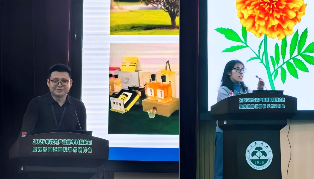 WPS拼图0_49789WPS拼图0